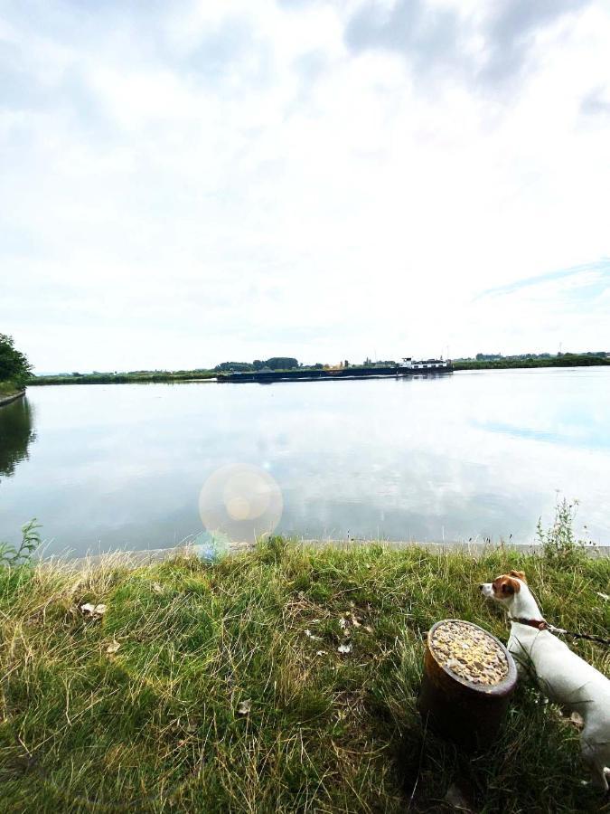 Huisje Aan De Schelde Spiere Eksteriør bilde